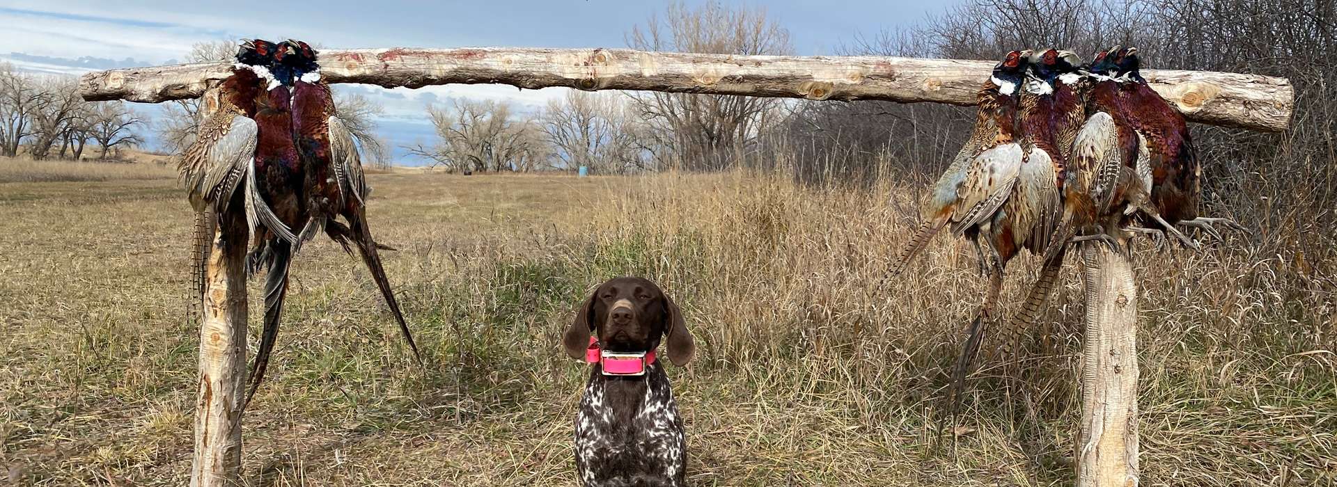 Deposit & Rescheduling Deposit & Rescheduling